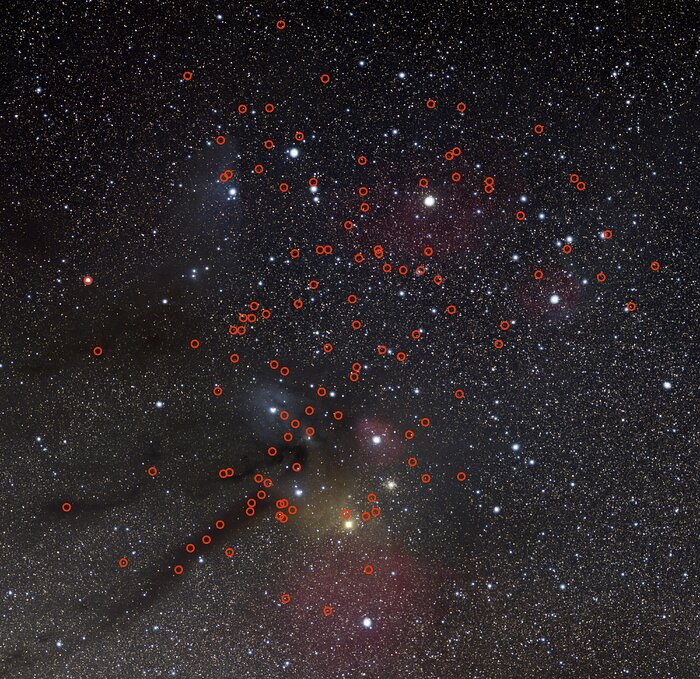 les planètes errantes trouvées sont entourées d'un cercle rouge sur une image de la constellation. On en voit un grand nombre.